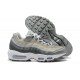 Men's Nike Air Max 95 TT Grey White Footwear DC9844-001