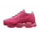 Women's Nike Air Max Scorpion Pink Footwear DR0888-008