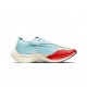 Women's/Men's Nike ZoomX VaporFly NEXT Blue Red Footwear 